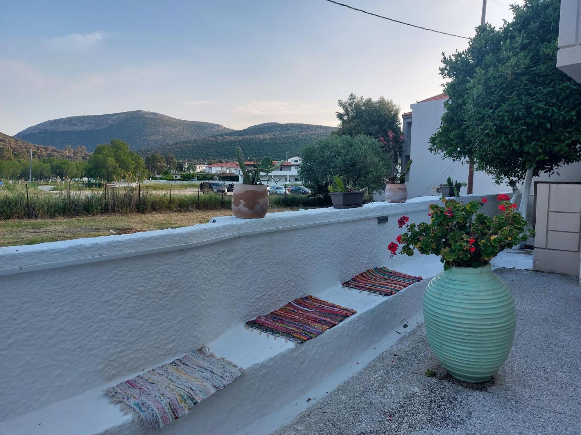 Vitamin Sea Studio Panagia  Rom bilde